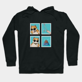 Cute cat drake memes Hoodie